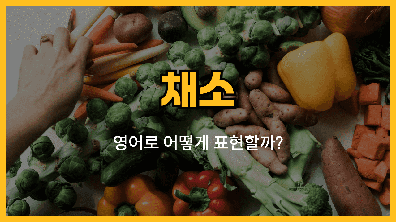 채소 영어표현 썸네일