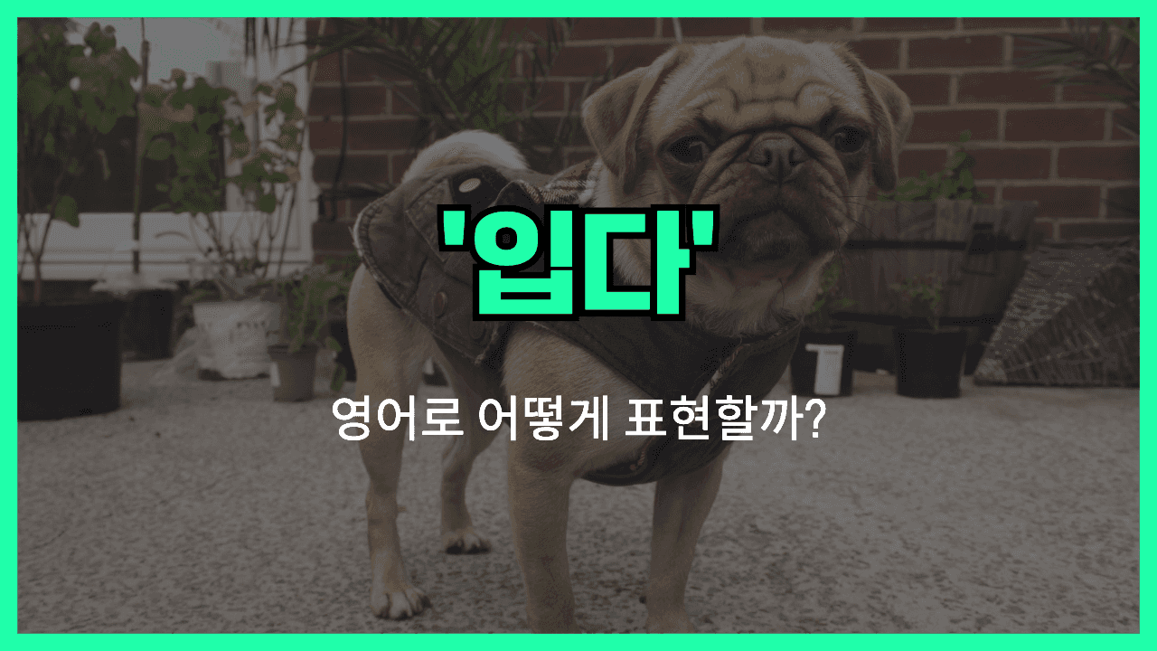 낭비하다 영어표현 썸네일