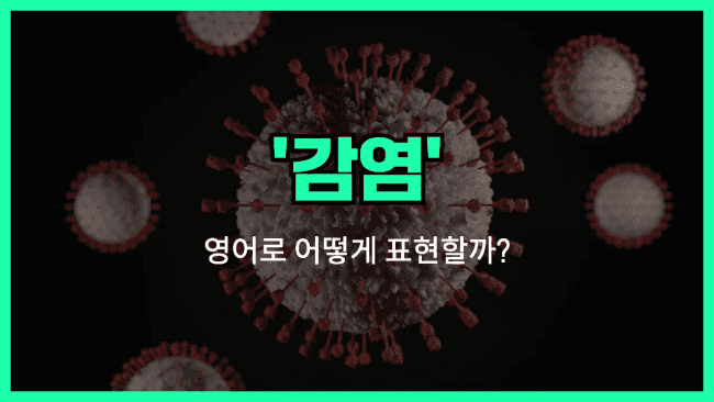 'infection' 영어표현