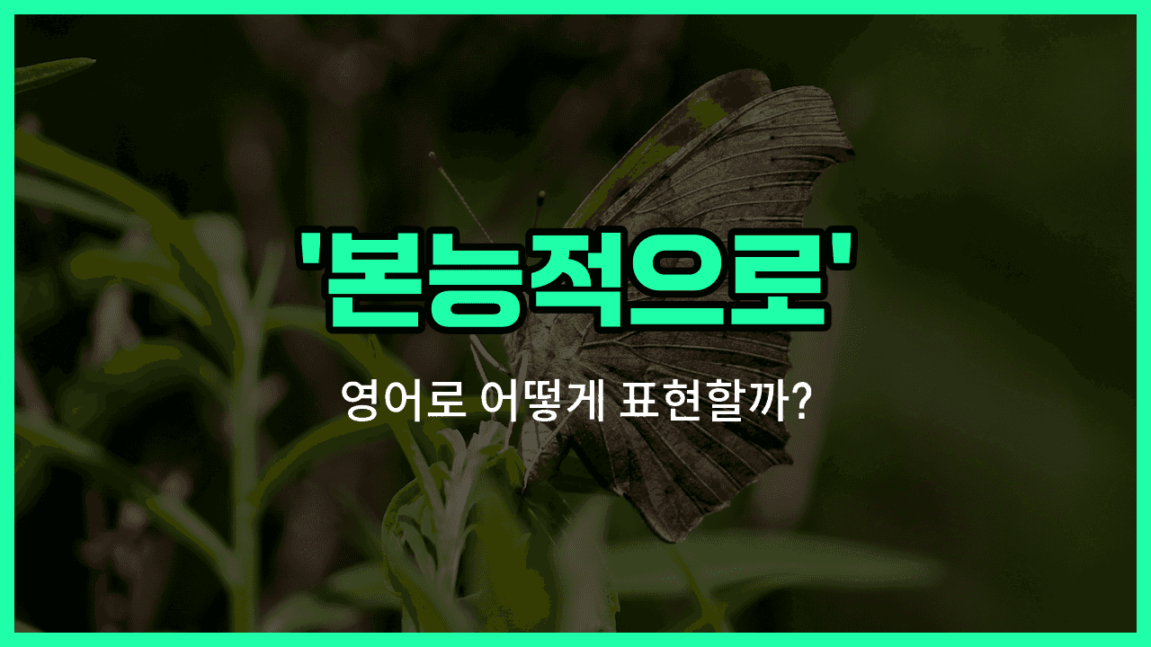 'instinctively' 영어표현 썸네일
