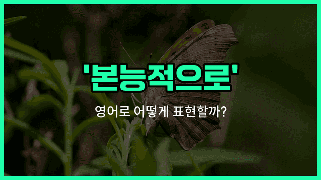 'instinctively' 영어표현