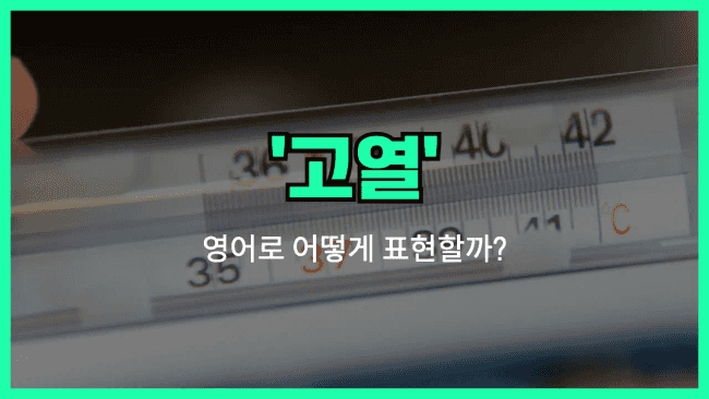 'fever' 영어표현