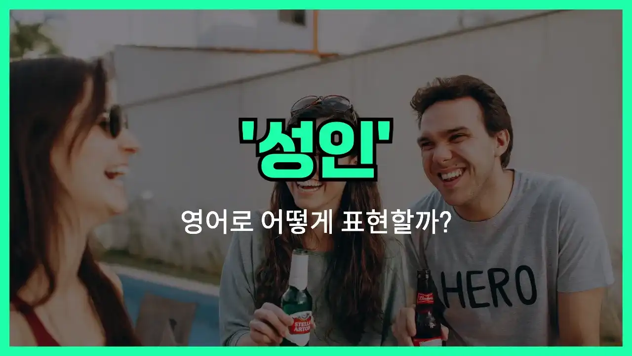 'adult' 영어표현 썸네일