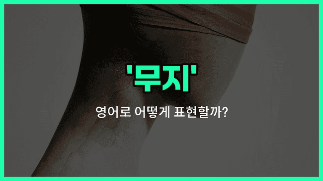 'ignorance' 영어표현