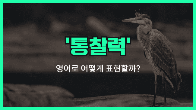 'insight' 영어표현