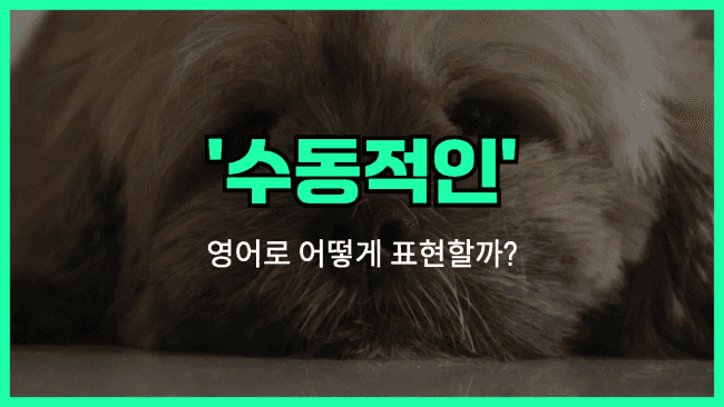 'passive' 영어표현