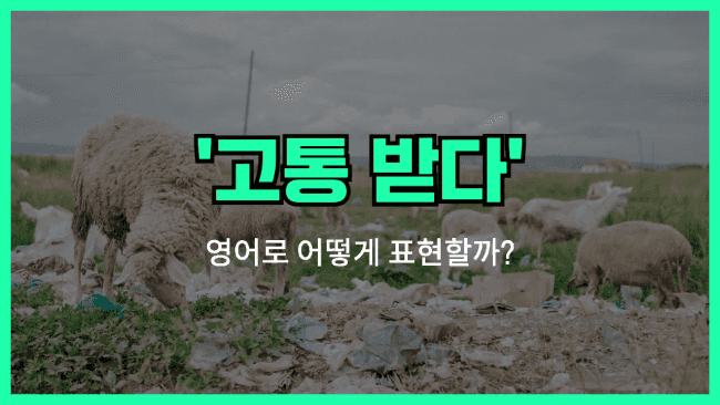 'suffer from' 영어표현