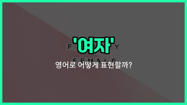 'woman' 영어표현
