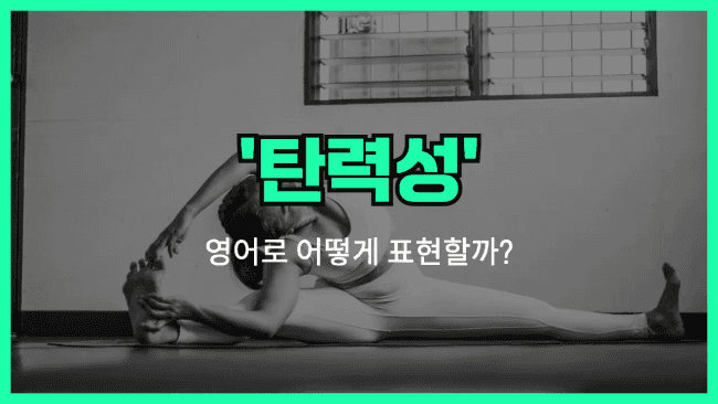 'elasticity (탄력성)' 영어표현