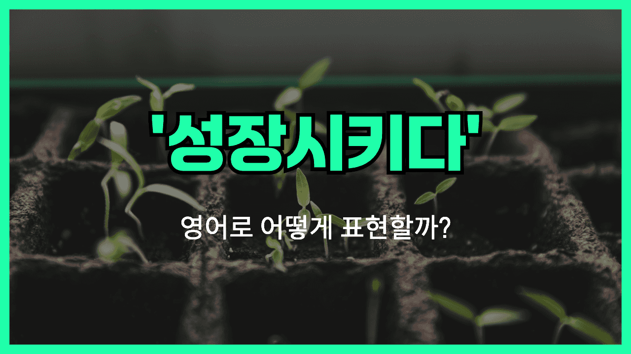 성장시키다 영어표현 썸네일