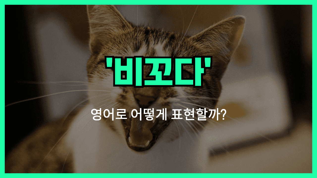 비꼬는 영어표현 썸네일