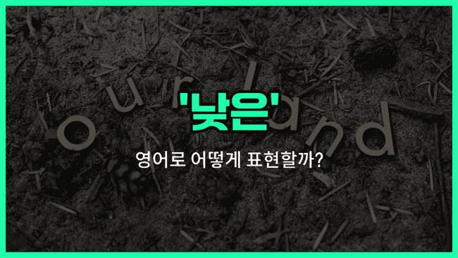 'low' 영어표현