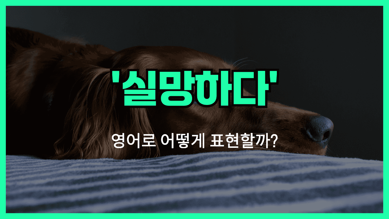실망하다 영어표현 썸네일