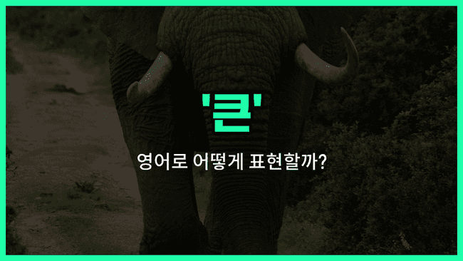 'large' 영어표현