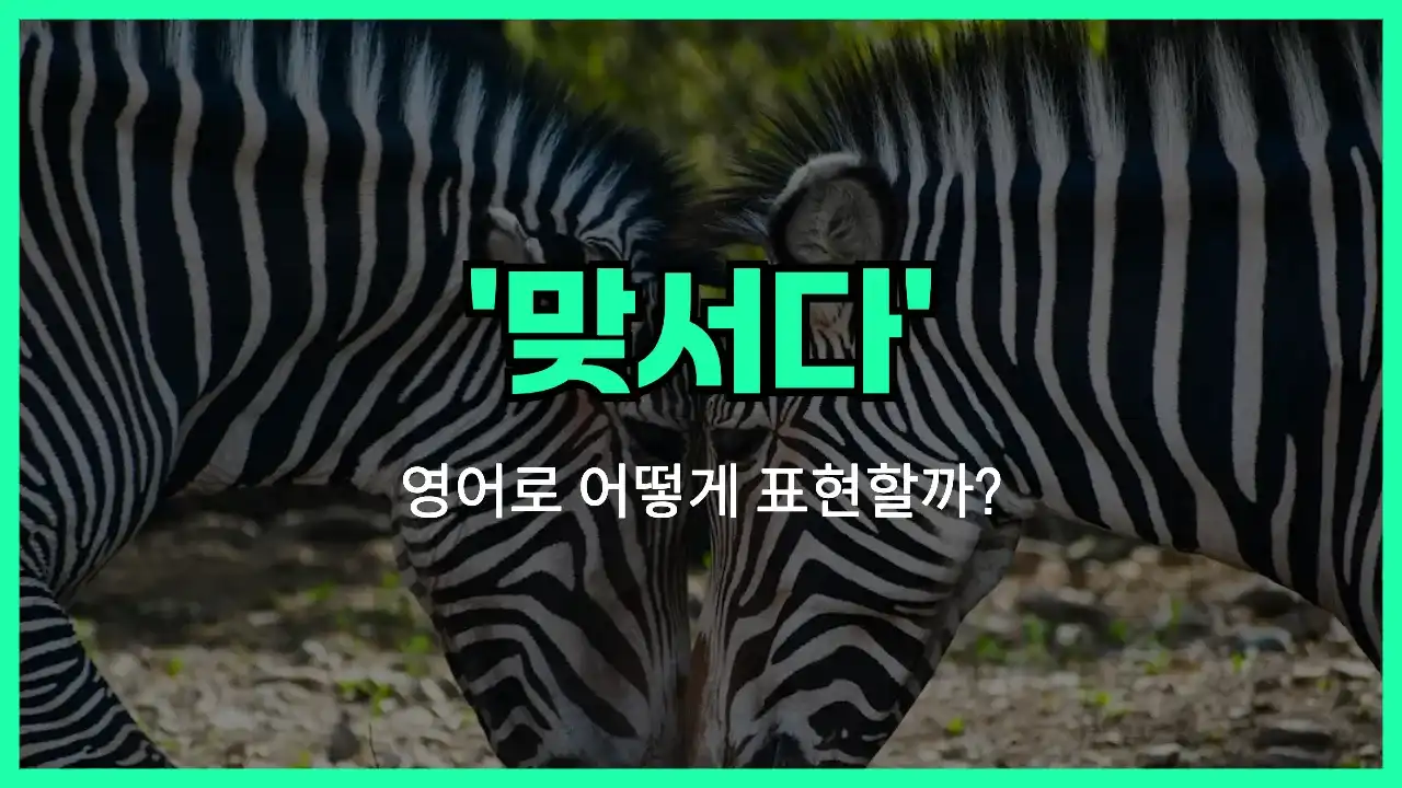 'go head-to-head' 영어표현 썸네일