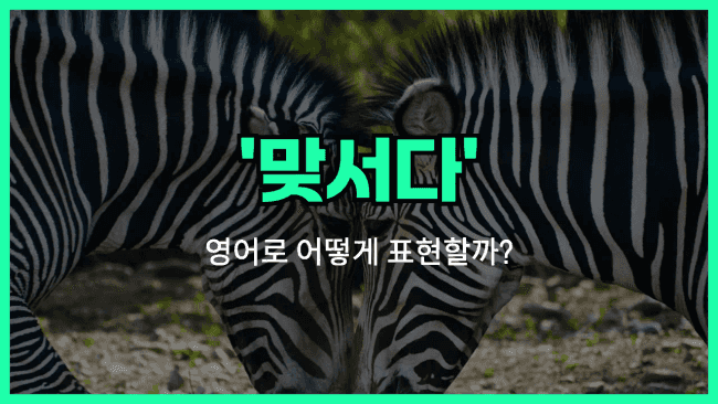 'go head-to-head' 영어표현