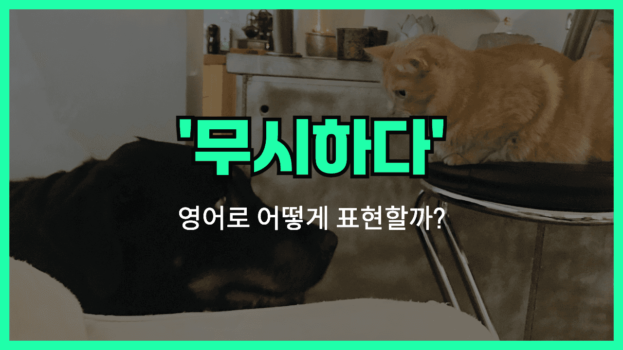'ignore' 영어표현 썸네일