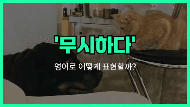 'ignore' 영어표현 썸네일