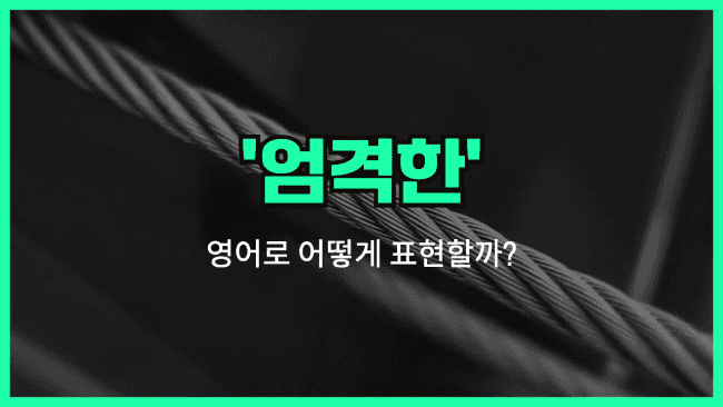 'rigid' 영어표현