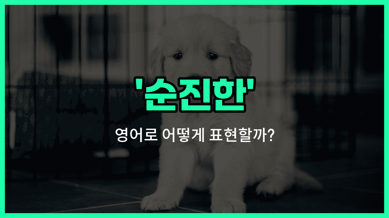 'naive' 영어표현 썸네일