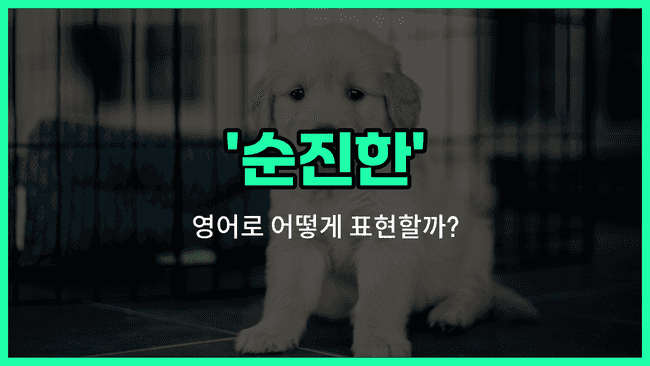 'naive' 영어표현