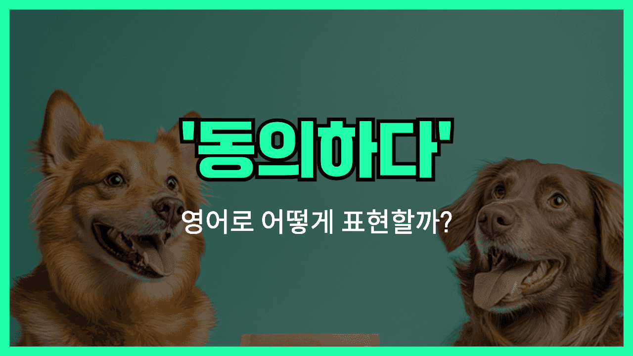 'agree' 영어표현 썸네일