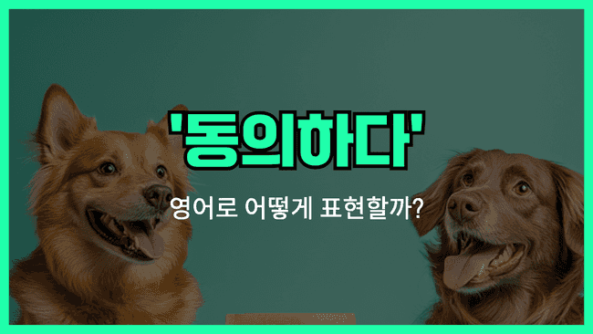 'agree' 영어표현 썸네일