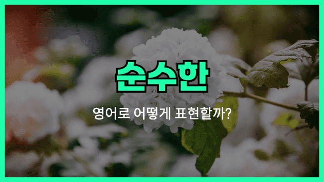 'pure' 영어표현