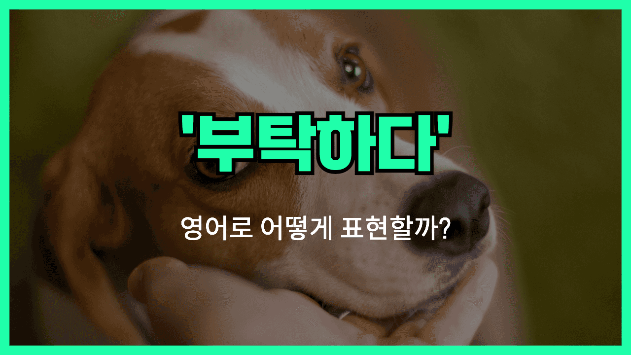 부탁하다 영어표현 썸네일