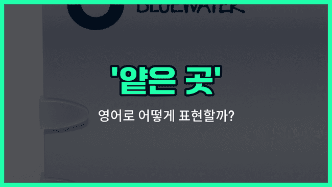 'shoal' 영어표현