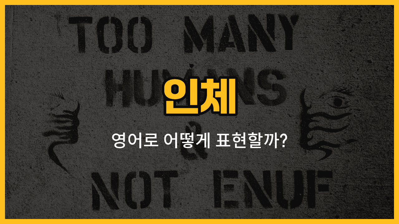 인체 주요 부위 손, 발, 등, 배, 무릎, 어깨, 허리 영어 단어와 예문