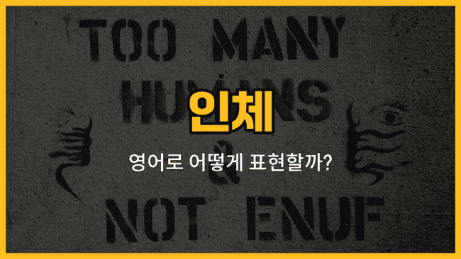 인체 주요 부위 손, 발, 등, 배, 무릎, 어깨, 허리 영어 단어와 예문