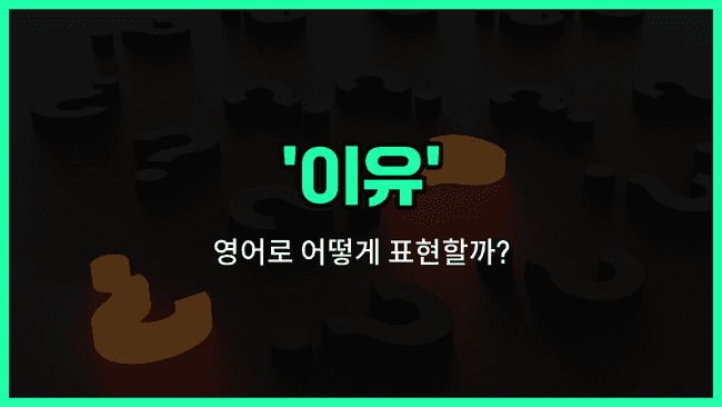 'reason' 영어표현