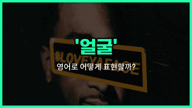 'face' 영어표현