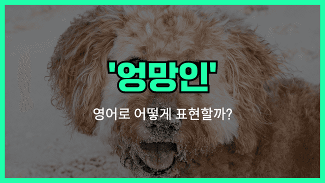 'messy' 영어표현 썸네일