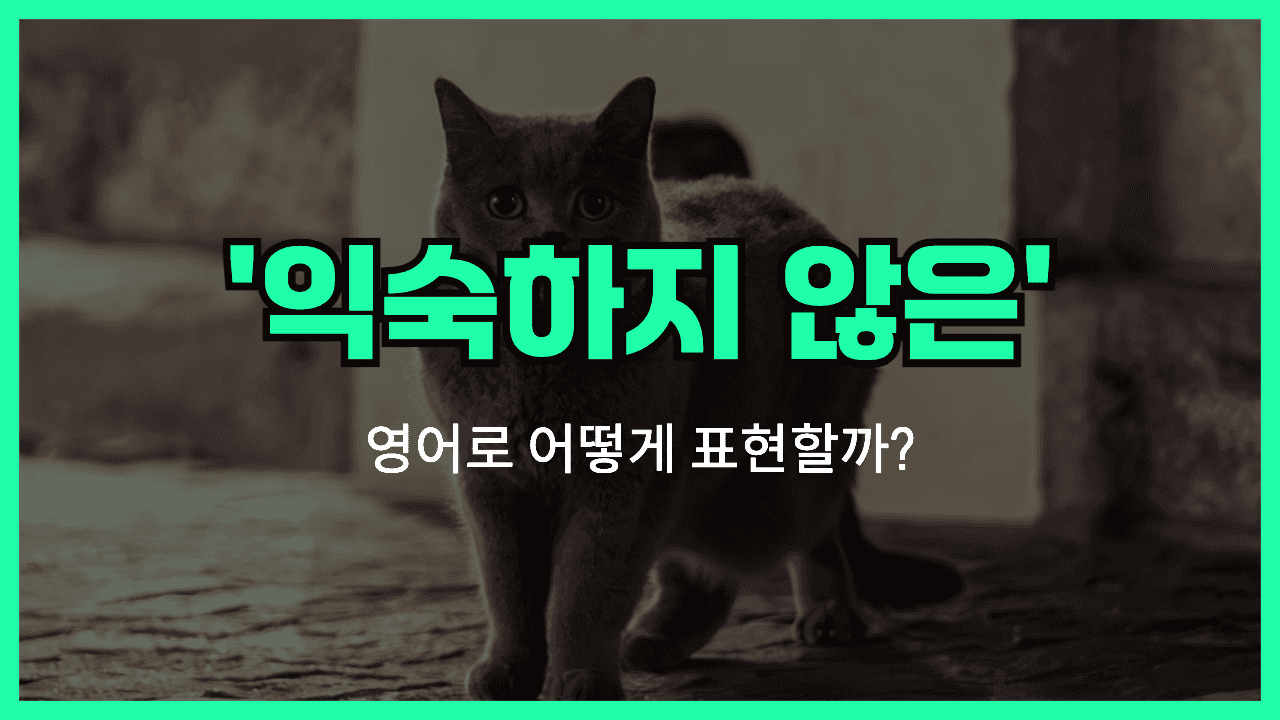 '익숙하지 않은' 영어표현 썸네일