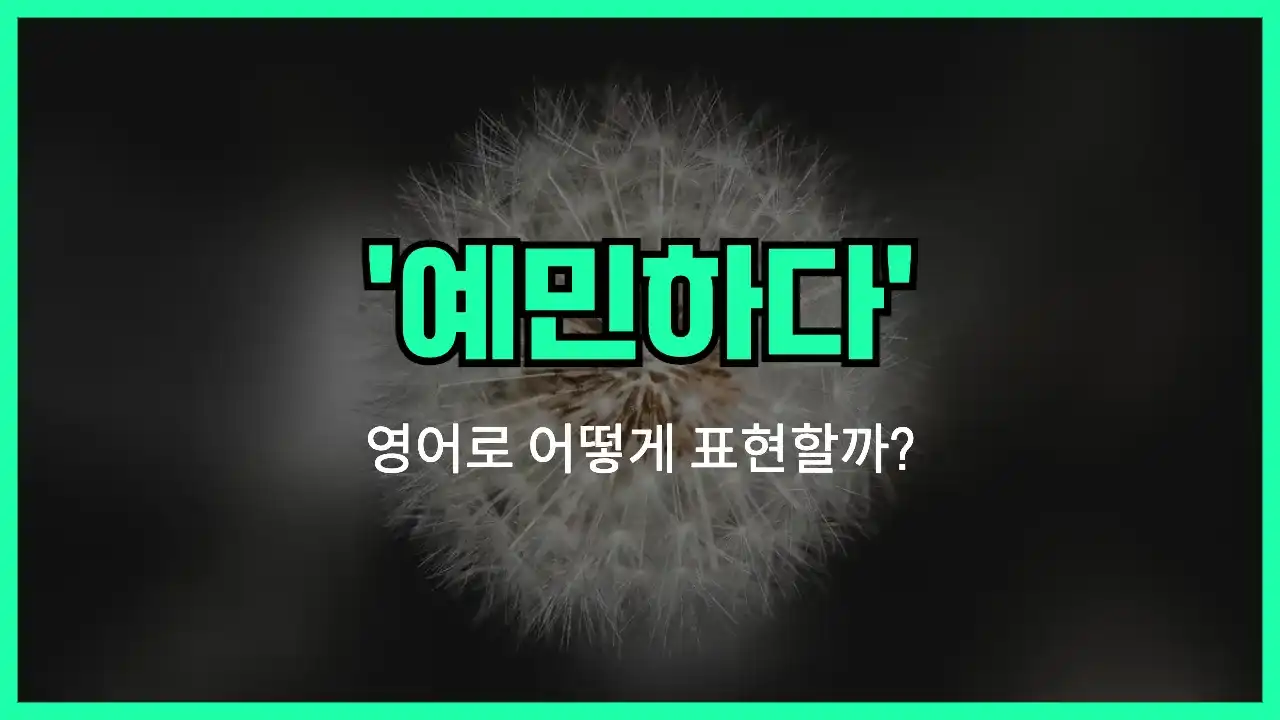 'sensitive to' 영어표현 썸네일