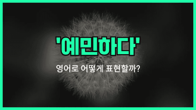 'sensitive to' 영어표현