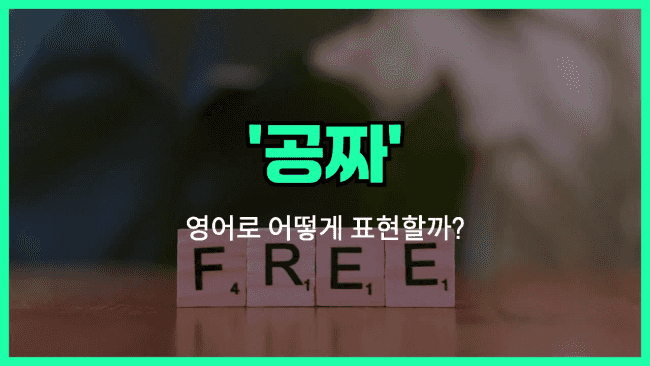 'free of charge' 영어표현