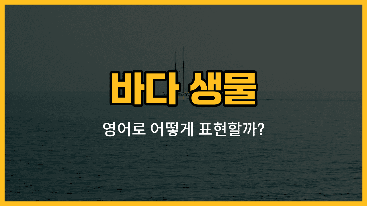 바다 생물 영어 단어와 예문을 배우는 블로그 썸네일 이미지
