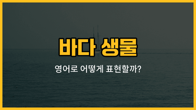 바다 생물 영어 단어와 예문을 배우는 블로그 썸네일 이미지