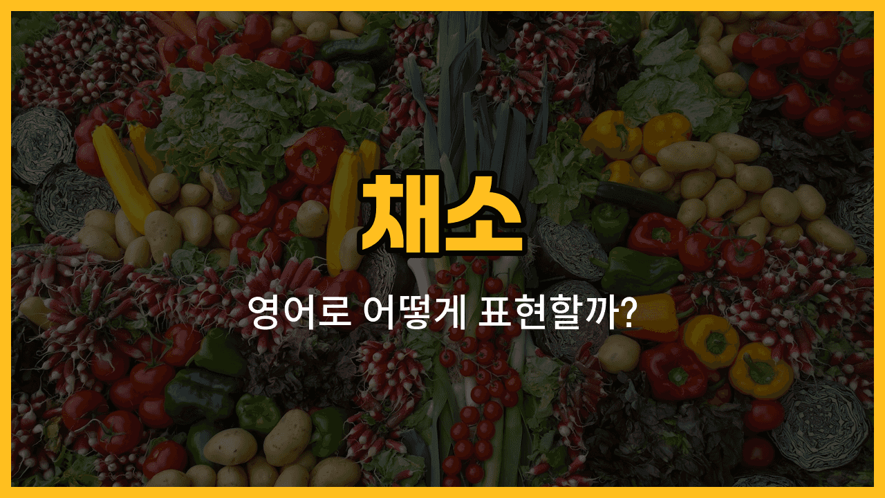 오이, 배추, 파, 고추, 무 채소 영어 단어와 예문을 배우는 블로그 썸네일 이미지