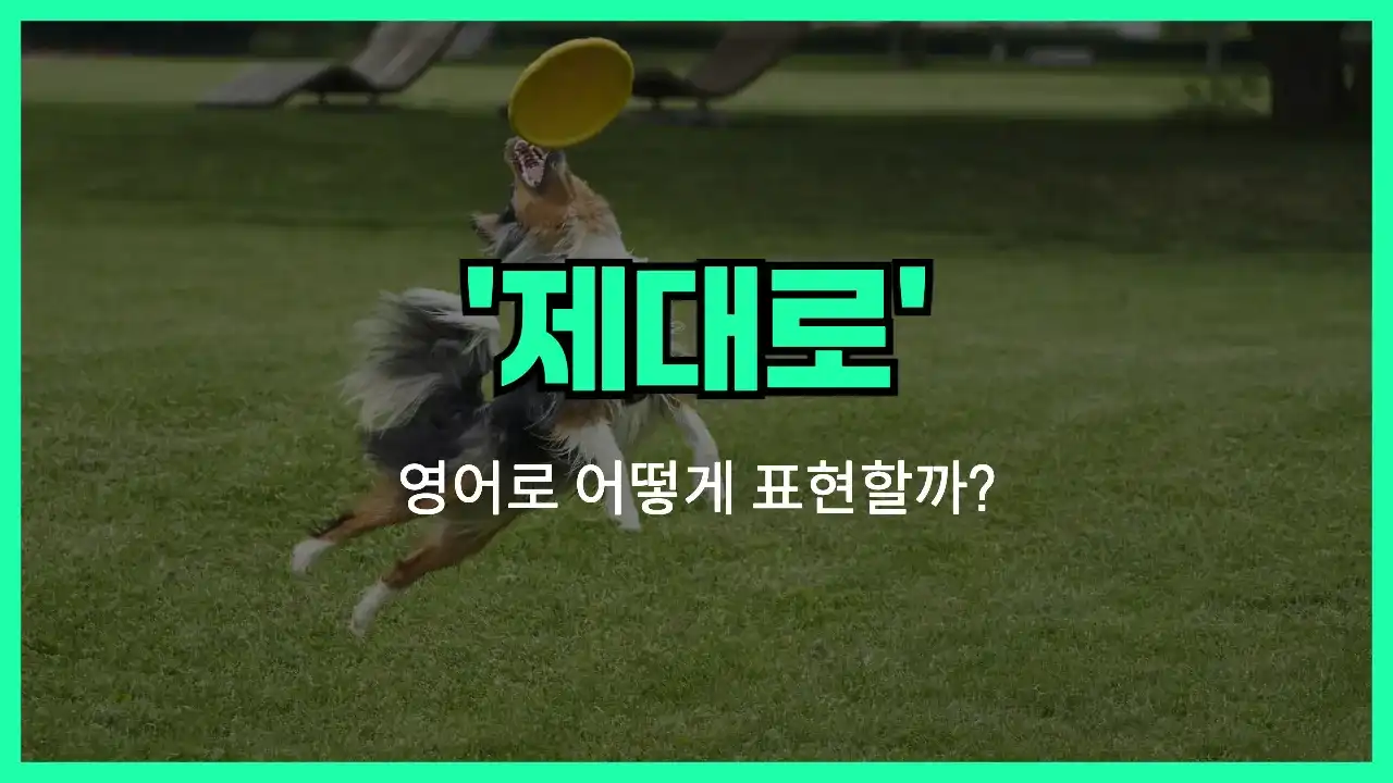 'properly' 영어표현 썸네일