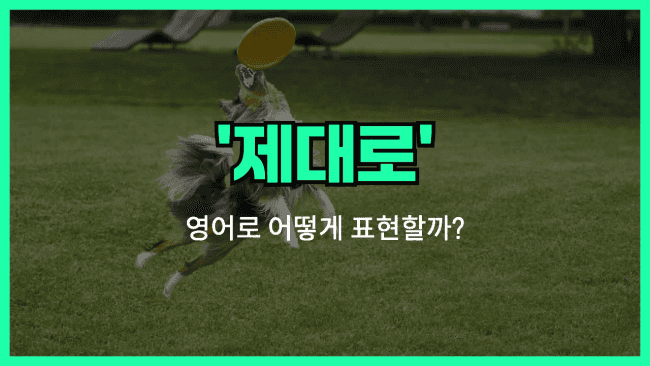 'properly' 영어표현