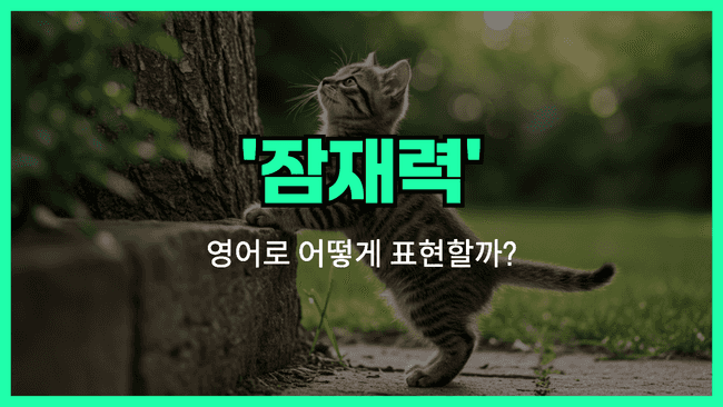 'potential' 영어표현