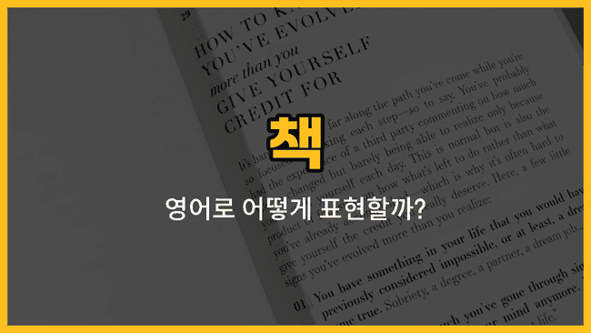 다양한 종류의 책 이미지 - 동화책, 만화책, 사전, 요리책, 수필집