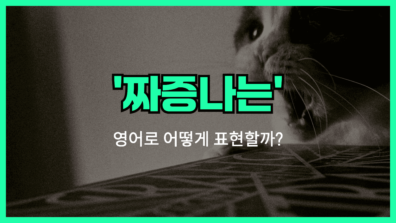 'frustrating' 영어표현 썸네일
