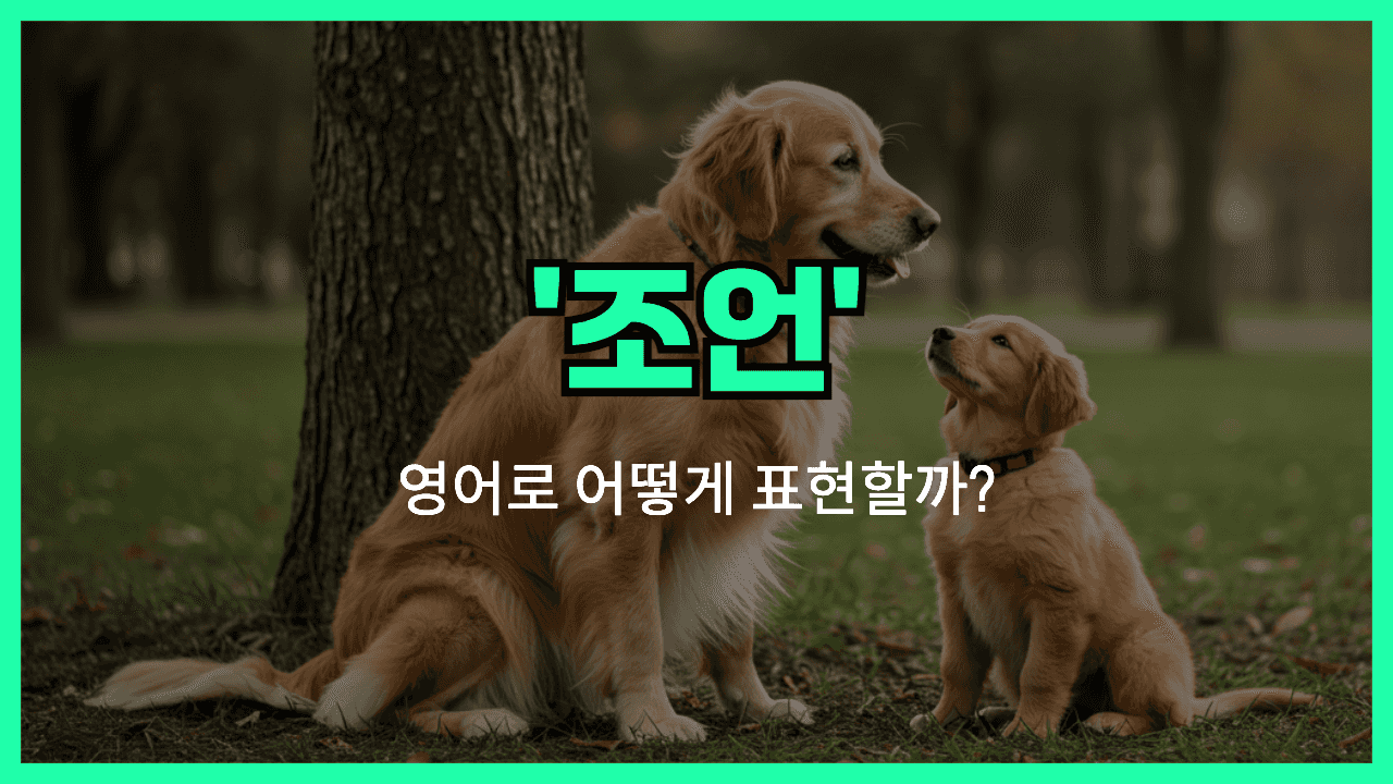 'advice' 영어표현 썸네일