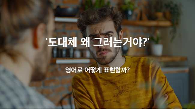 굳이 영어표현
