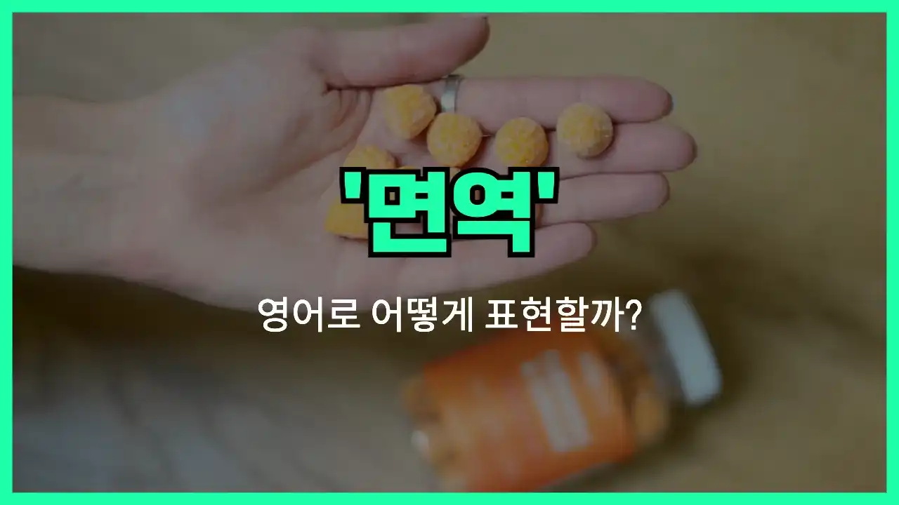 'immunity' 영어표현 썸네일